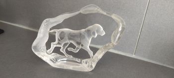 Chiens crystal d'Arques 