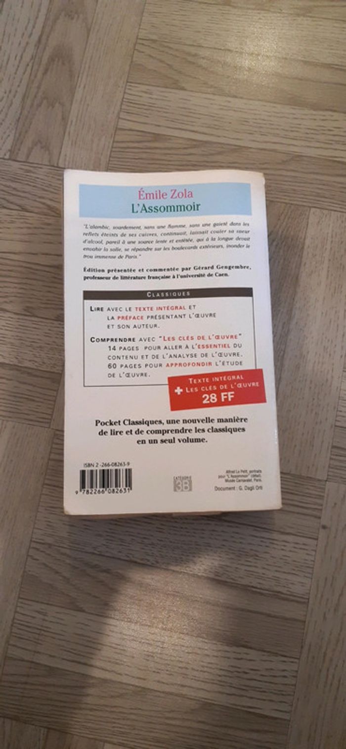 L'assommoir d'Émile Zola - photo numéro 2