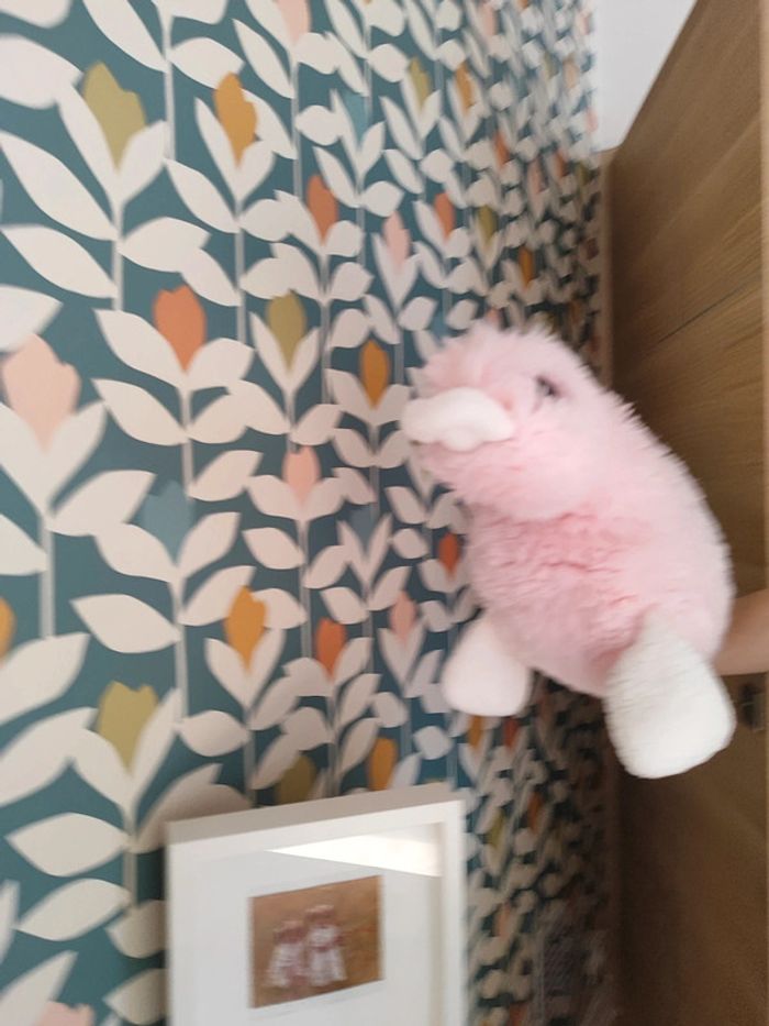 Doudou ornithorynque jacadi - photo numéro 6