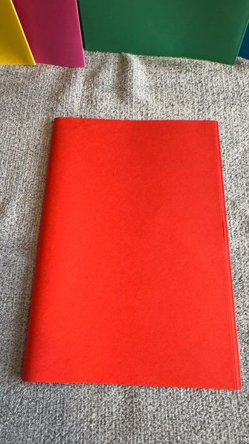 Ensemble de 9 sous chemises Rouge
