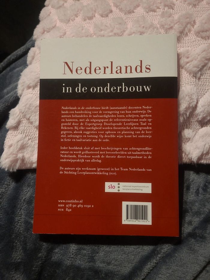 Nederlands in de onderbouw - photo numéro 2