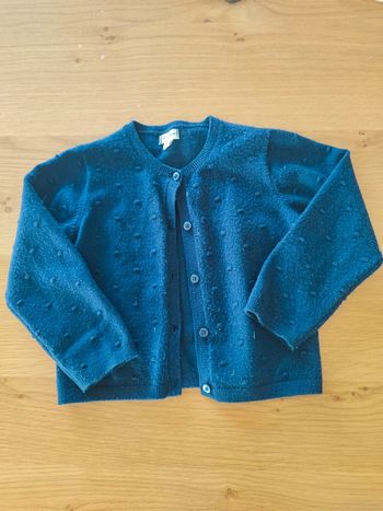 Gilet bleu foncé pat et ripaton 24 mois