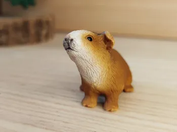 Schleich cochon d'Inde Figurine animal de la ferme
