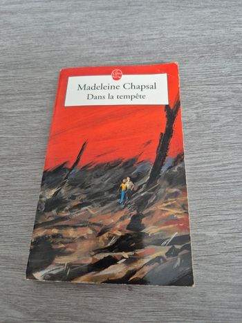 Dans la tempête Madeleine Chapsal