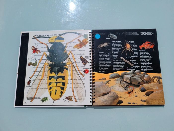 🦗 Mille Milliards d'insectes 🪳livre animé Gallimard Jeunesse (73) - photo numéro 5