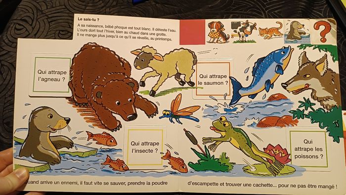 Livres Cache-cache Animaux et chiffres - photo numéro 4