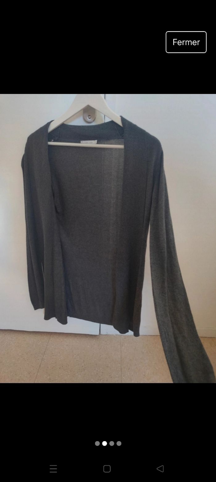 Gilet gris long - photo numéro 2