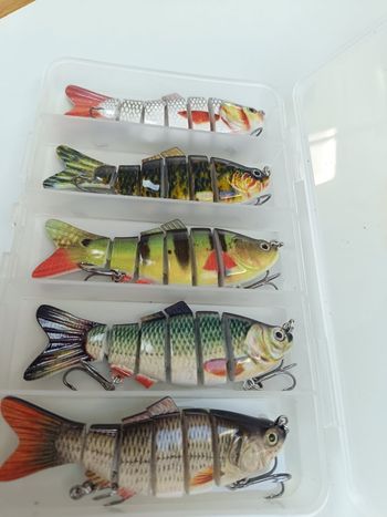 Boite de leurres articulés de pêche