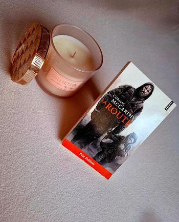 Livre survie , apocalyptique , science-fiction " La route " de Cormac McCarthy.