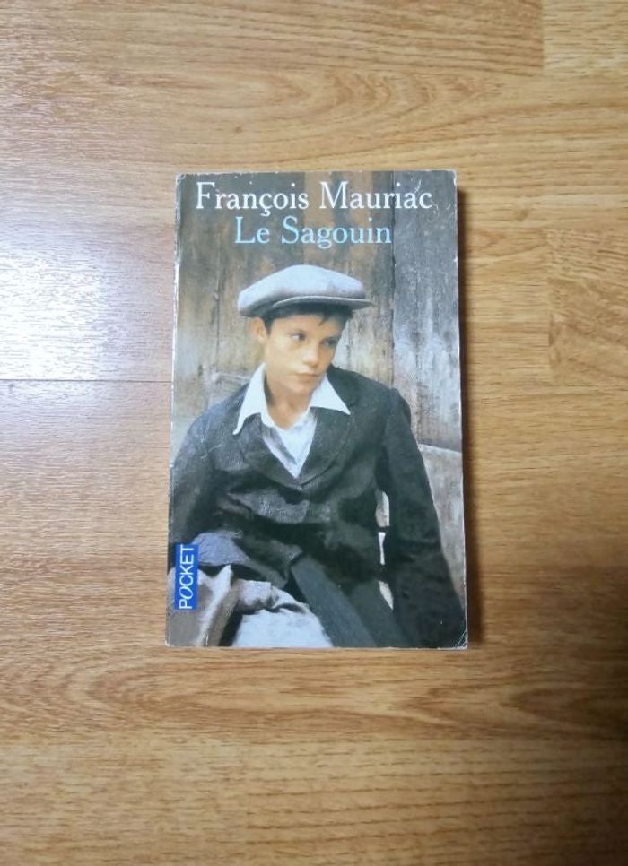 Livre Le sagouin