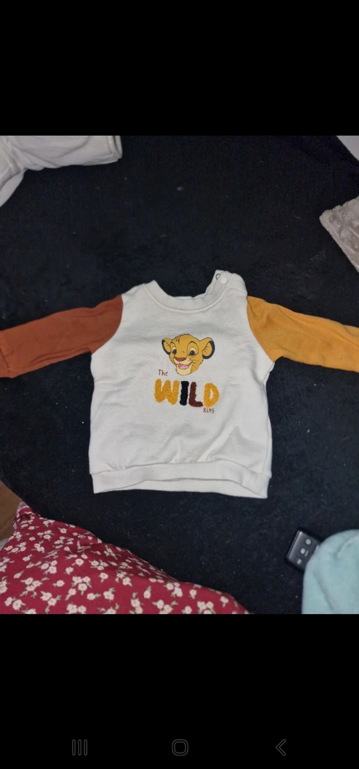 Pull simba