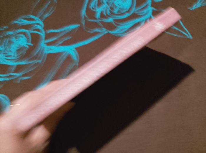 Les 4 voyageurs - photo numéro 5