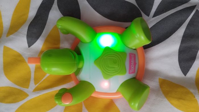 Tortue musical - photo numéro 2