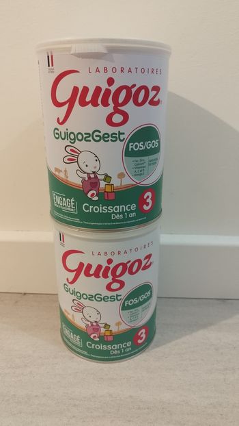 Guigozgest 3