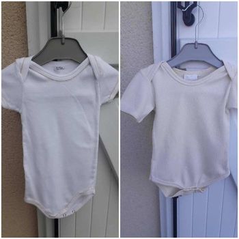 lot 2 body bb filles taille  12 et 18 mois