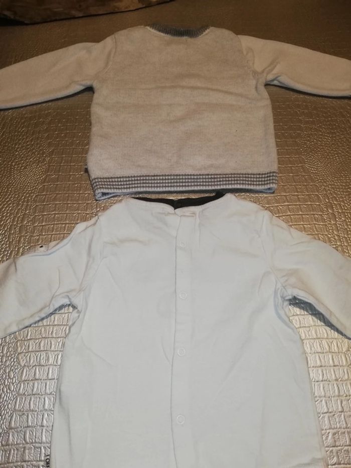 Tee shirt et pull chien - photo numéro 5