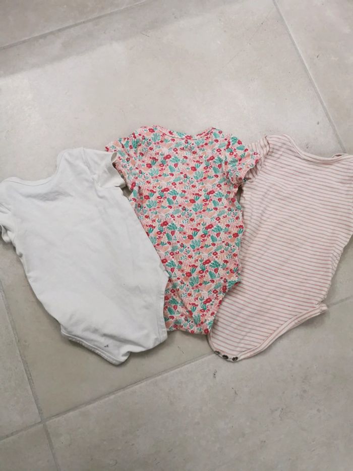 Bodies manche courte - photo numéro 5