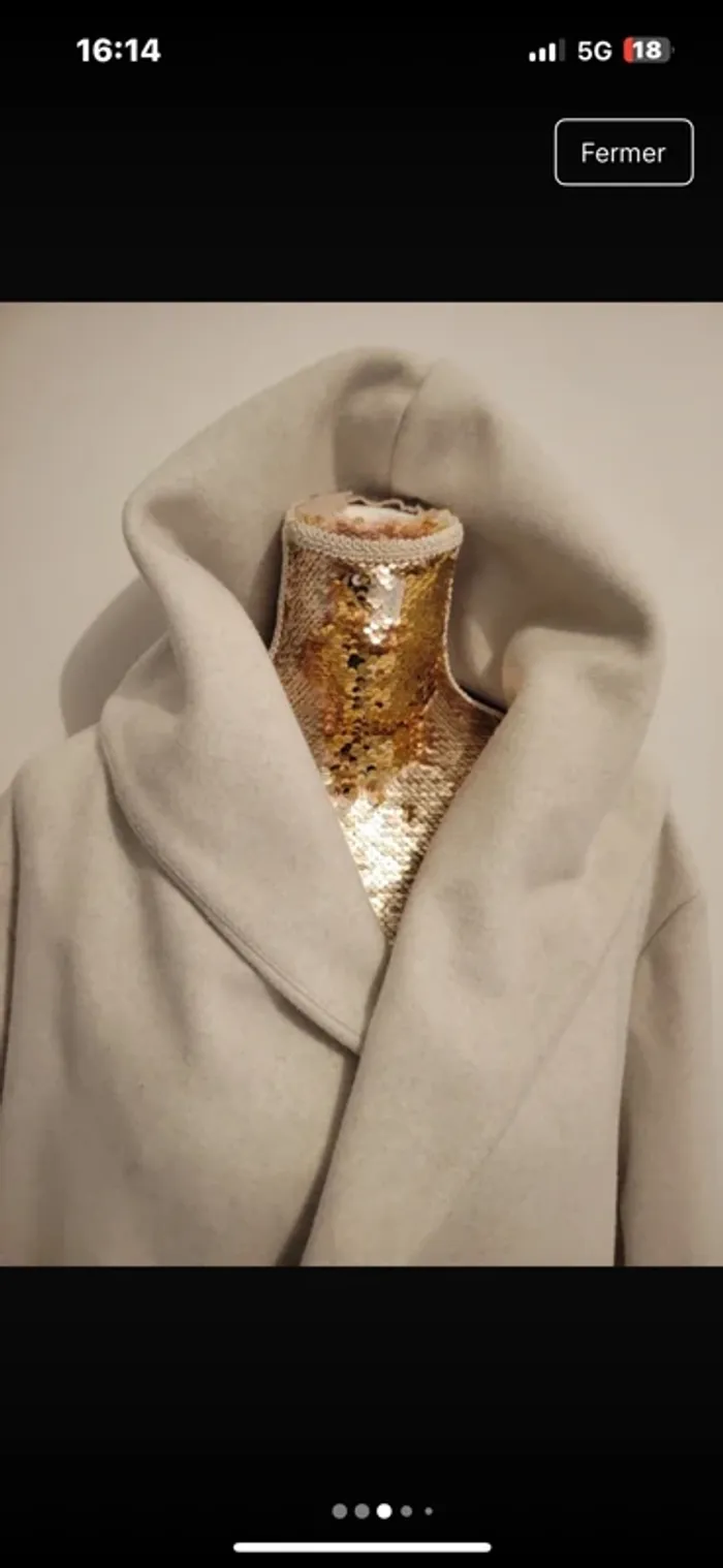 Manteau Zara neuve xxl - photo numéro 2