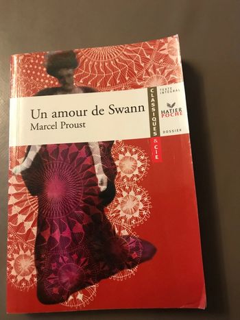 Livre Un amour de Swann