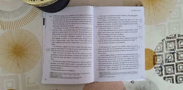 La Vénus d'Ille de Prosper Mérimée - photo numéro 5