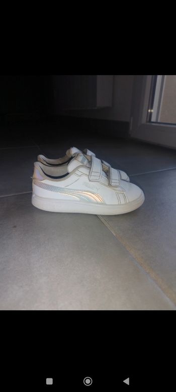 Basket puma