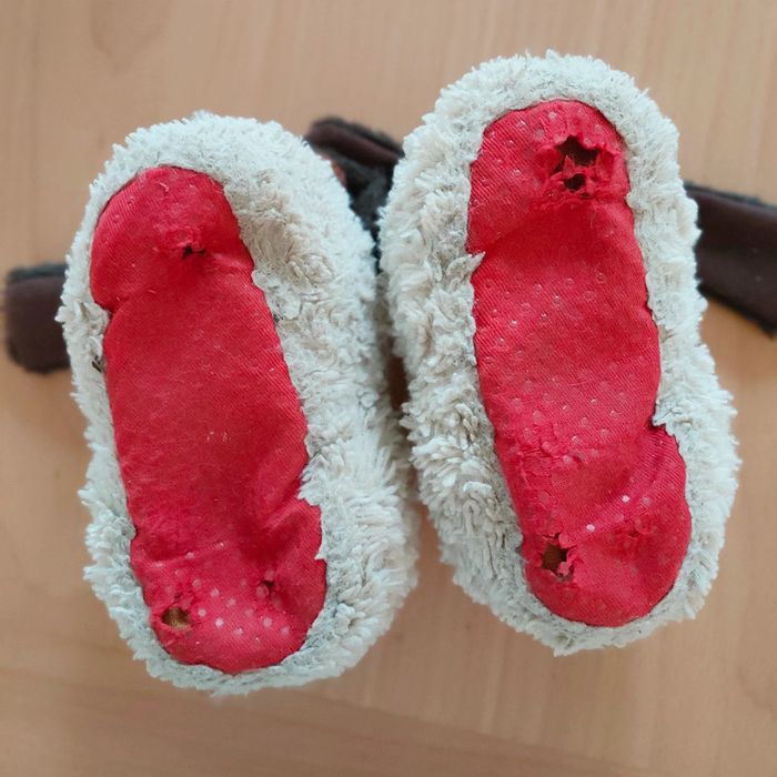 Chaussons chien - photo numéro 3