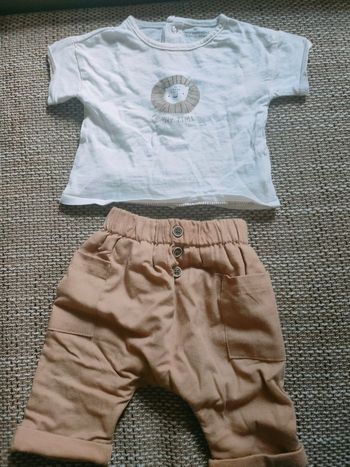 Ensemble Verbaudet lion