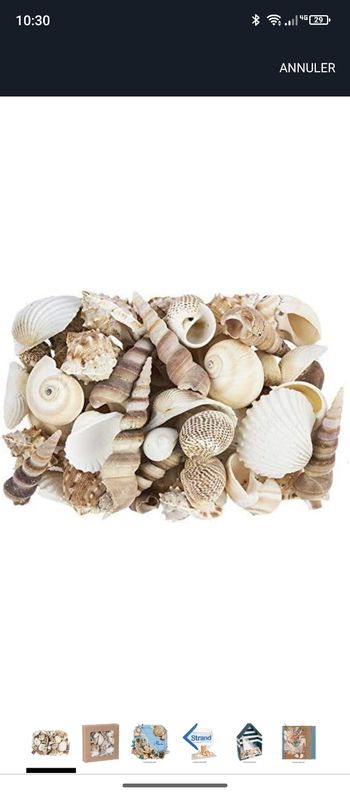 100 grammes de véritables coquillages 