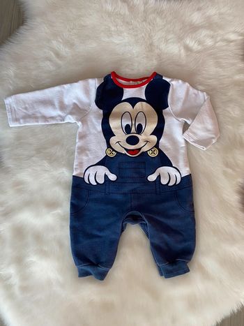 Ensemble Mickey