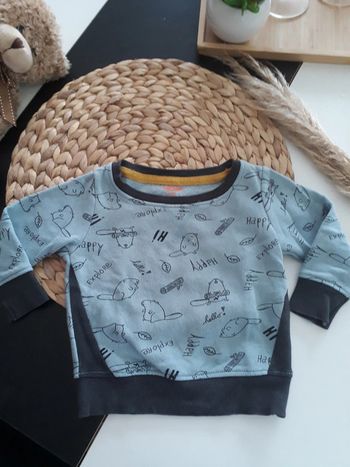 Pull/Sweat Hema Taille 6 mois🌿🐶