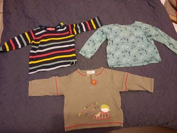 Lot de 3 tee shirts manches longues taille 9 mois