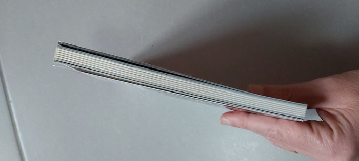 Nouvelles fantastiques 2 : Je suis d'ailleurs et autres recits - photo numéro 4