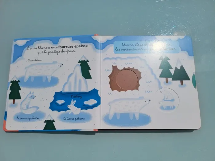 Livre animé à tirettes et roues  🦭 Les Animaux du Froid 🐧 58 - photo numéro 4