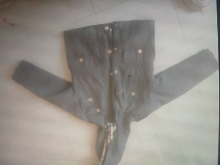Vestes