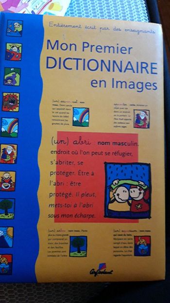 Mon premier dictionnaire en image