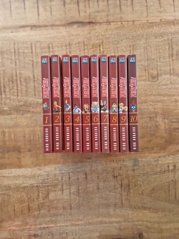 🇫🇷 Fairy Tail 1 à 10 comme neuf Manga