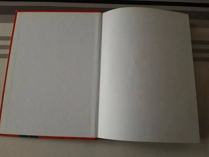 Livre : Bienvenue  chez les  Robinsons - photo numéro 4