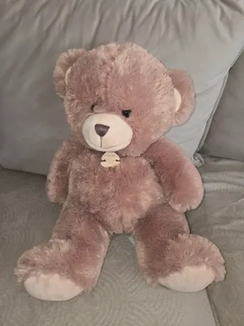 Ours histoire d'ours