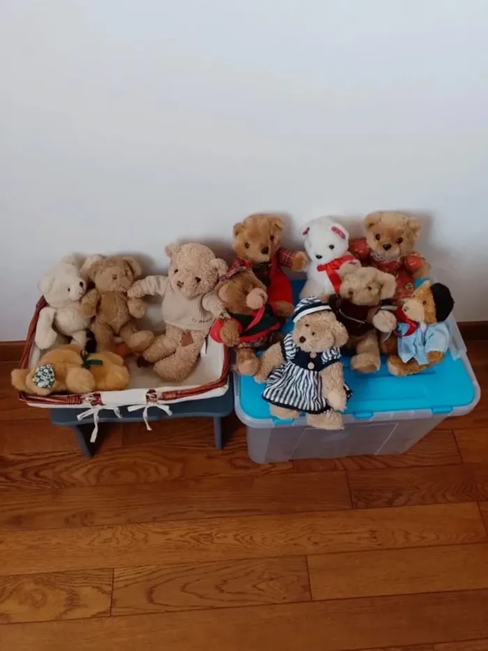 La famille Ours au grand complet. Qui l'adoptera pour la vie ? - photo numéro 3