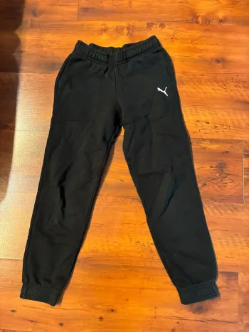 Jogging puma