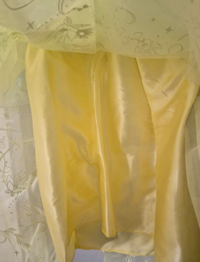 Magnifique déguisement Tiana 7/8 ans - photo numéro 7