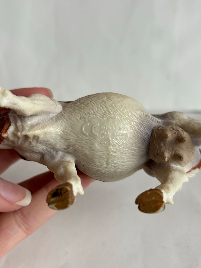 Vache papo - photo numéro 6