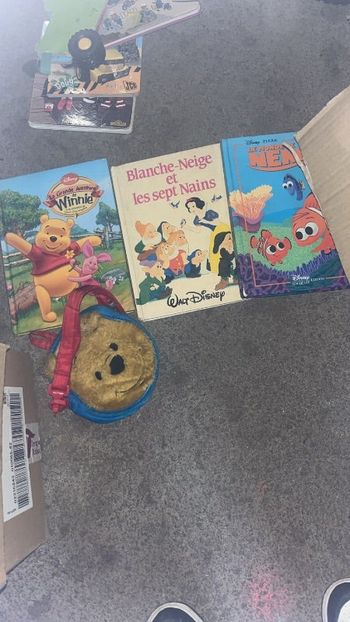 Livre Disney
