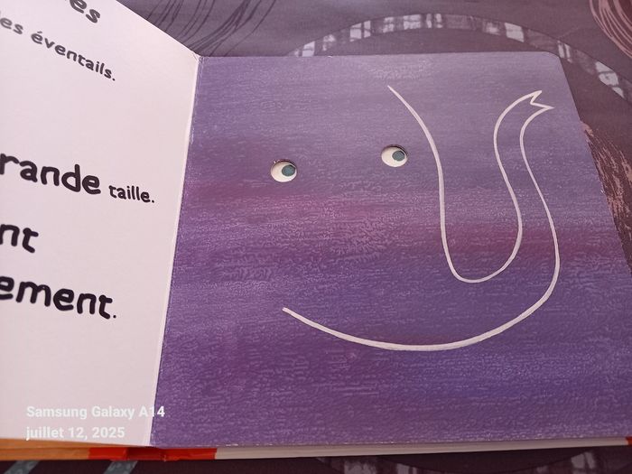 Livre enfant - photo numéro 3