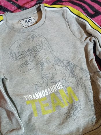 Pull dinosaure