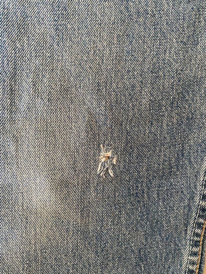 Jeans Levi's homme W34 L32 soit 42 / 44 - photo numéro 9