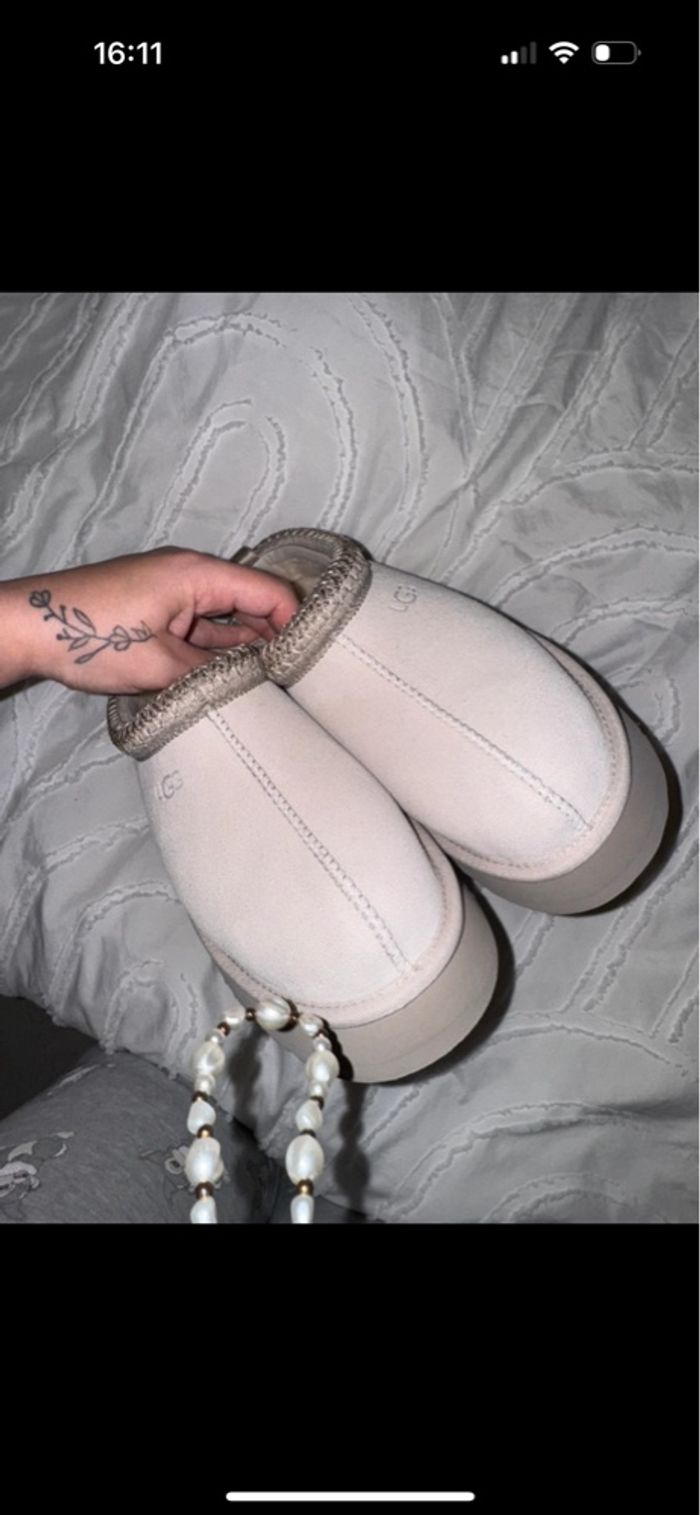 Uggs tazz - photo numéro 4