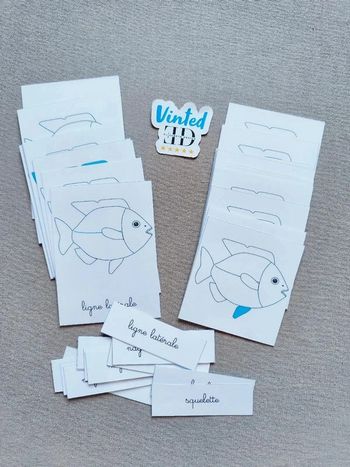 Cartes de nomenclature du poisson
