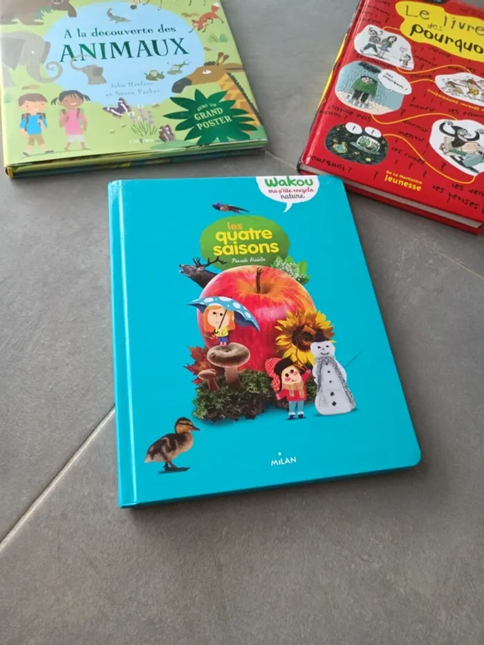 Lot livre animaux et saisons - photo numéro 3