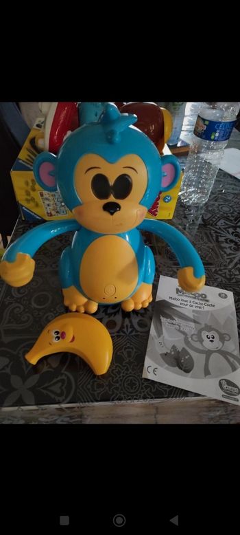 Maloo joue à cache cache